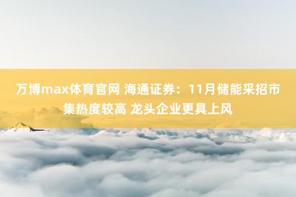 万博max体育官网 海通证券：11月储能采招市集热度较高 龙头企业更具上风