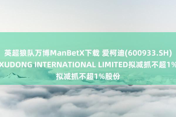 英超狼队万博ManBetX下载 爱柯迪(600933.SH)鼓动XUDONG INTERNATIONAL LIMITED拟减抓不超1%股份