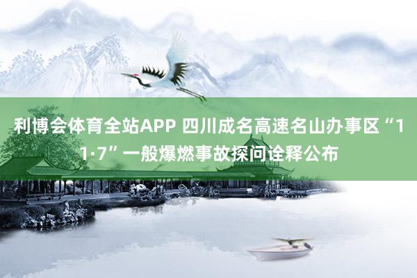 利博会体育全站APP 四川成名高速名山办事区“11·7”一般爆燃事故探问诠释公布