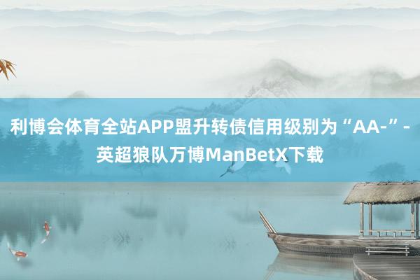 利博会体育全站APP盟升转债信用级别为“AA-”-英超狼队万博ManBetX下载