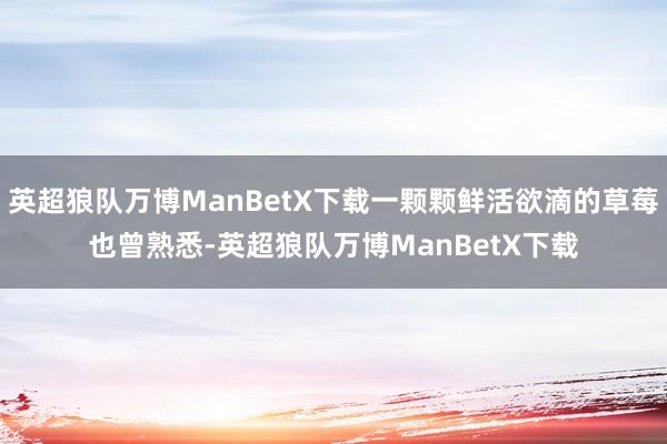 英超狼队万博ManBetX下载一颗颗鲜活欲滴的草莓也曾熟悉-英超狼队万博ManBetX下载