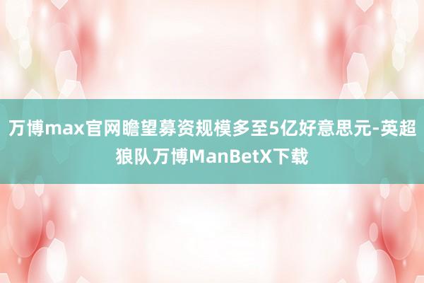 万博max官网瞻望募资规模多至5亿好意思元-英超狼队万博ManBetX下载